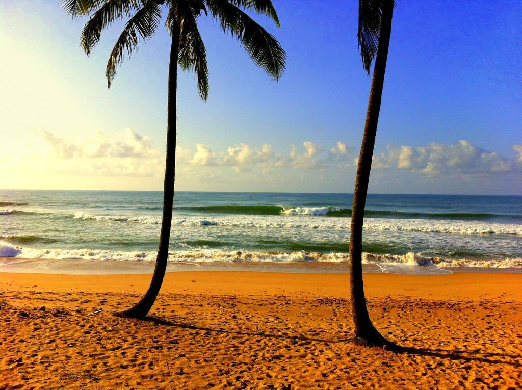 Bahia Surf Camp Hotel Abrantes Exterior photo