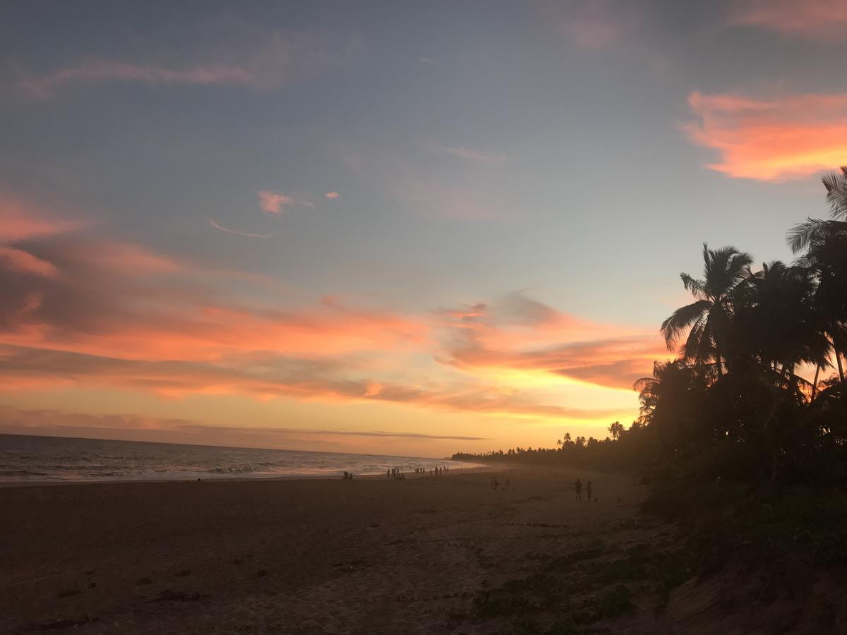 Bahia Surf Camp Hotel Abrantes Exterior photo